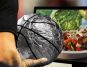 Chipotle is giving away free burritos during the 2025 NBA Championship Series