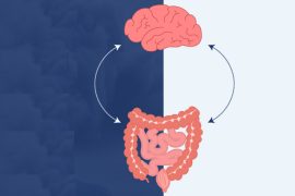 5 Gut Health Red Flags: From Brain Fog to Bloating
