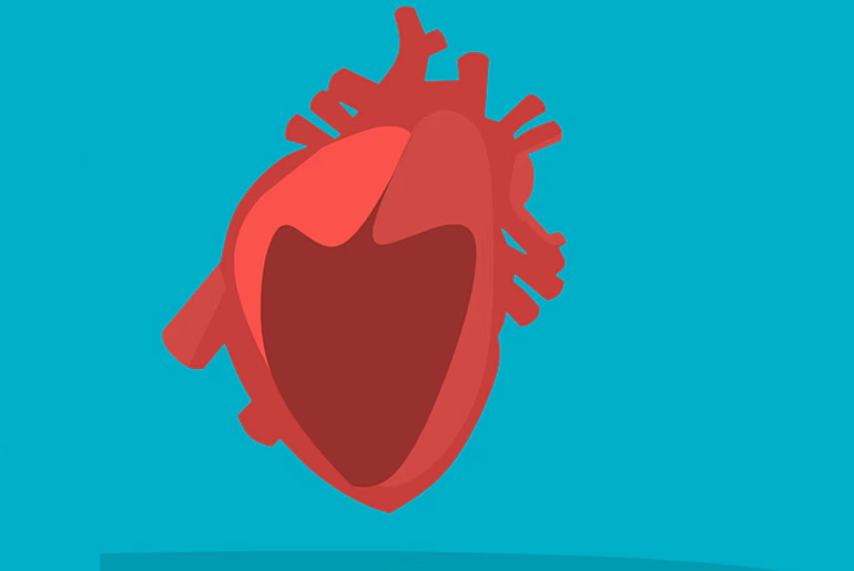 Surgeon Reveals 15-Minute Habit That Cuts Heart Attack Risk by 40%
