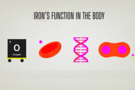 SYNEVIT® Launches FERROFECT® to Boost Iron Absorption for Better Health