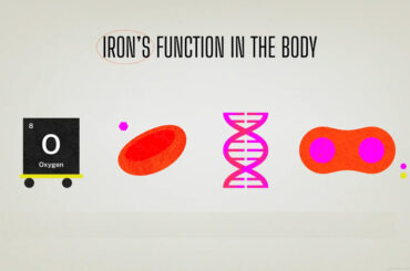 SYNEVIT® Launches FERROFECT® to Boost Iron Absorption for Better Health