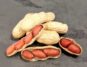 Peanuts: The High-Protein Snack That Aids in Losing Weight