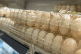 Plant-Based Eggs Arrive in U.S. Stores
