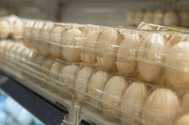 Plant-Based Eggs Arrive in U.S. Stores