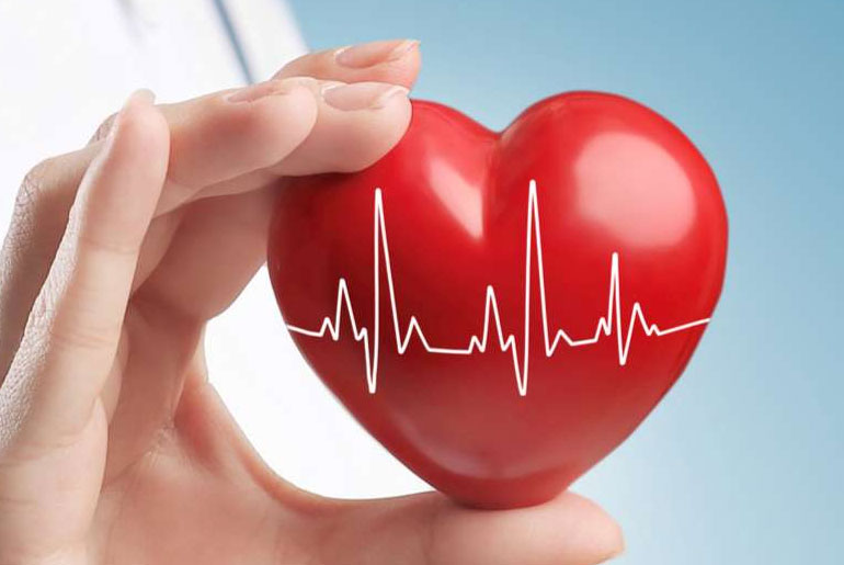 Physician Reveals Blood Tests That Anticipate Cardiac Issues Early Physician Reveals Blood Tests That Anticipate Cardiac Issues Early