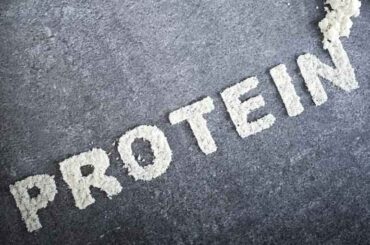 Why Protein Power Is Now in Everything