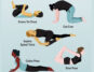 Yoga Poses to Relieve Constipation and Boost Digestion