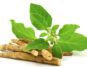 Ashwagandha Tea
