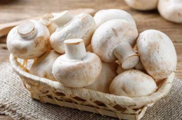 Indian Mushrooms
