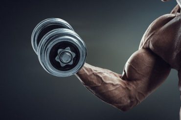 Essential Workouts for Sculpted Biceps and Back