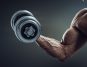 Essential Workouts for Sculpted Biceps and Back