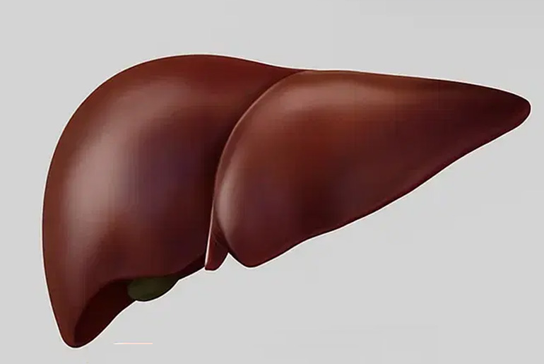 A Liver Specialist Identifies Eight Quiet Indications of Fatty Liver