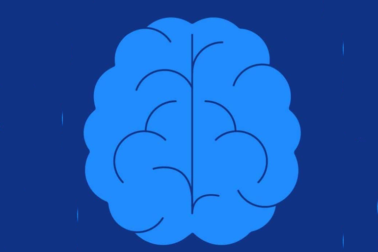 Sleep-in or Early Bird? The Health of the Nervous System: The Reality