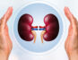 Improve Kidney Function