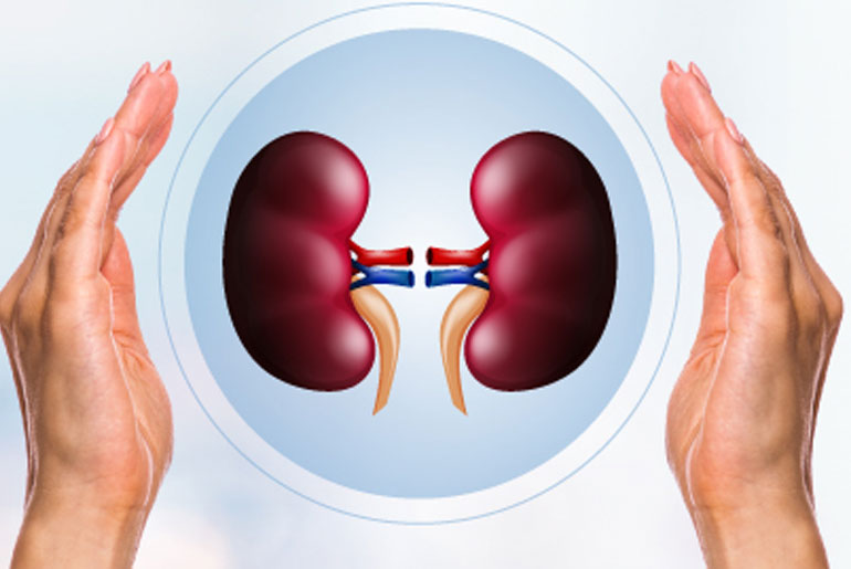 Improve Kidney Function