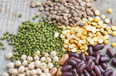 Plant-Based Proteins