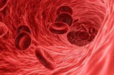 Study Shows Blood Molecules Have a Startling Anti-Aging Potential