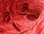 Study Shows Blood Molecules Have a Startling Anti-Aging Potential