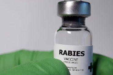 Fake Rabies Vaccine