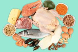 Protein Wisely, Not Too Much: How to Include It in Your Diet