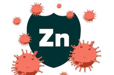 Zinc Is a Winter Immunity Hero
