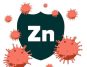 Zinc Is a Winter Immunity Hero