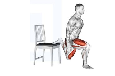 bulgarian split squats