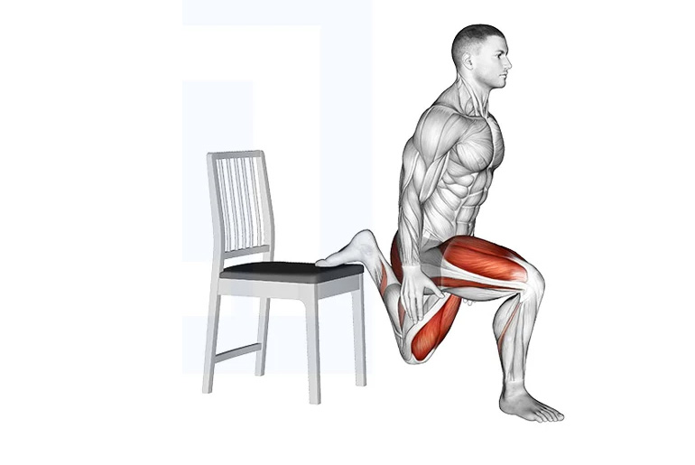 bulgarian split squats