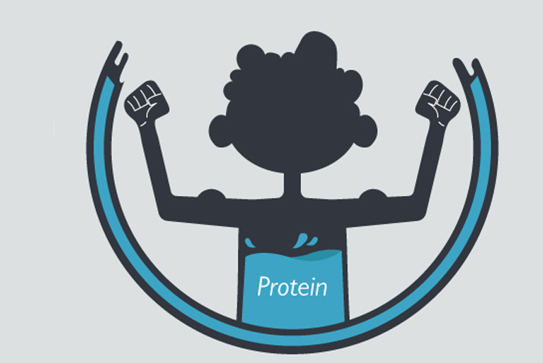 consuming too much protein