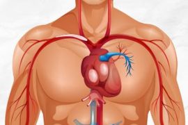 high cholesterol diagnosis