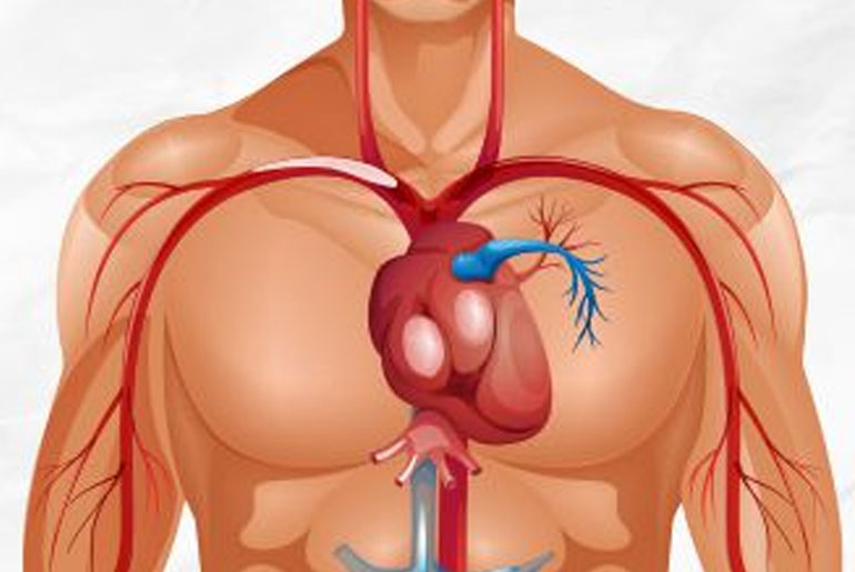 high cholesterol diagnosis