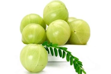 Best winter foods to boost gut health, immunity, and metabolism