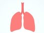 Boost Lung Health Naturally with Pranayama