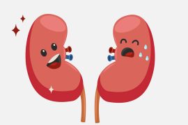 Too Much Protein Bad for Your Kidneys