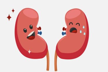 Too Much Protein Bad for Your Kidneys